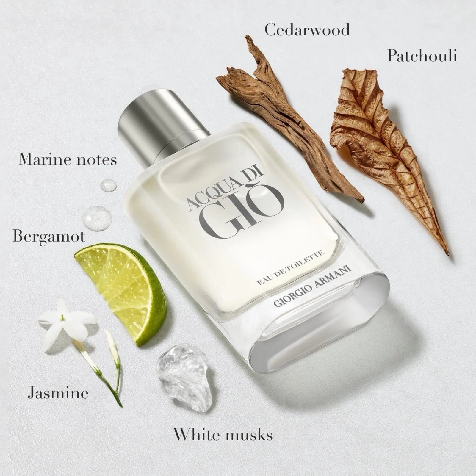 Giorgio Armani Acqua Di Gio PARFUM 100ml / 3.3 oz Sealed