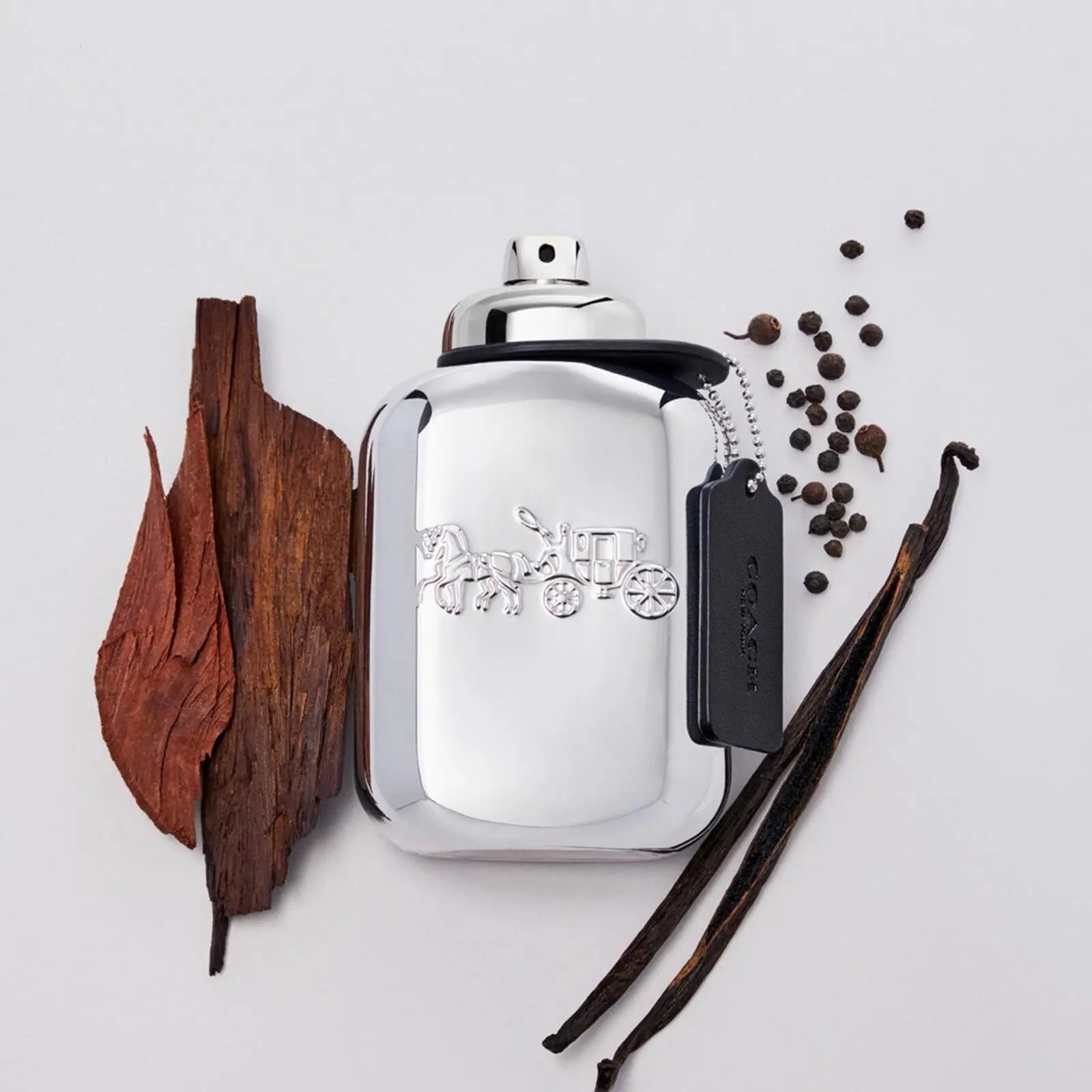 Coach Platinum Men's 3.3 oz Eau de Parfum Spray